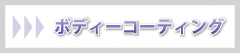 ボディコーティング